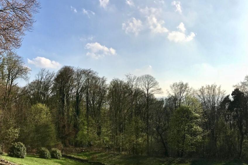 5-Sterne (Deutscher Tourismusverband) - Erholung wie ein König - - foto 23