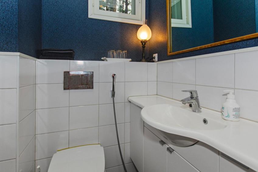 Rääkkylä, villa raita - foto 12