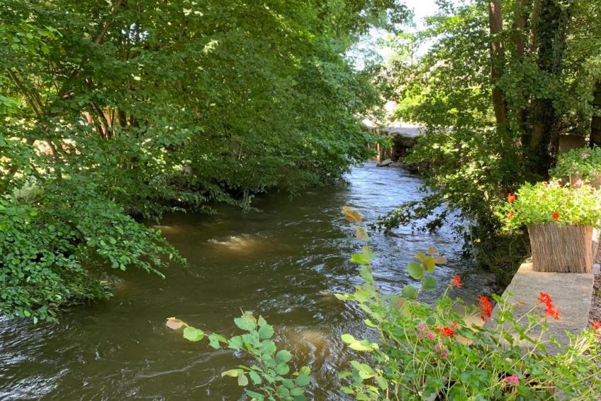 Chez Felix - foto 30