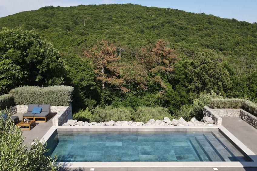 maison de vacances avec piscine et sauna - BF-7BFTM - foto 23