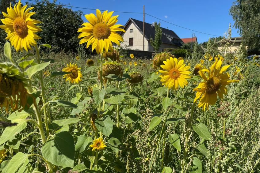 Rittergut Heyda - foto 20