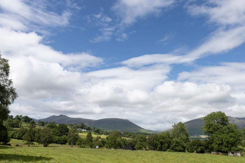 The Duck House - foto 23