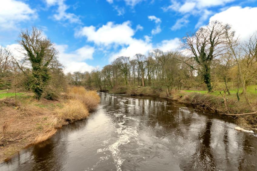 The Bank House - foto 9