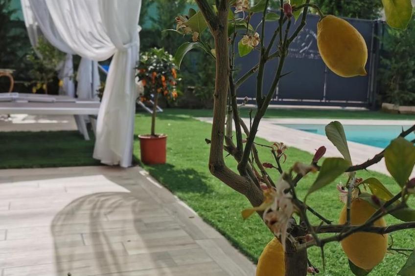 Ferienvilla 'Villa San Valentino - foto 37