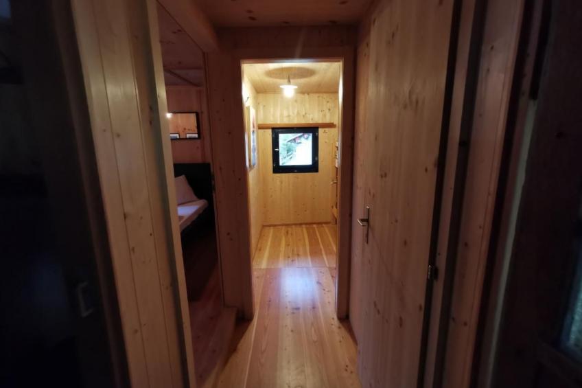 Presa Daint - foto 17