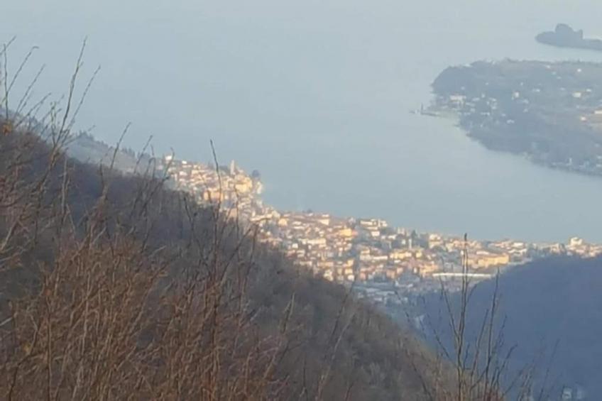 Alex Home 2 - foto 27