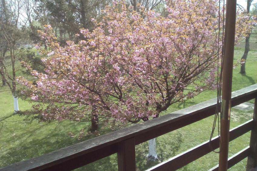 in Puska mit Offenem Kamin - foto 18