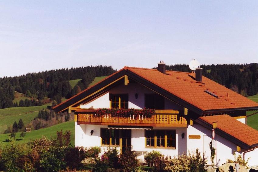 206353 - foto 3