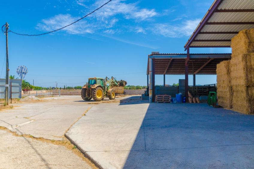 Sa Caseta De Ses Vaques.son Covas - foto 33