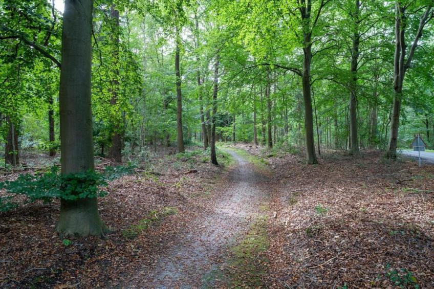 Vakantiepark Horsetellerie - foto 40