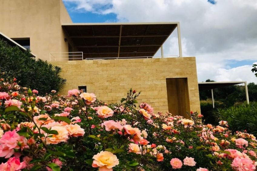 Graffeo-Häuser Haus der Rosen - foto 24