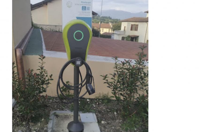 'Vindemia la salmon - foto 19