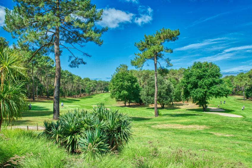 Marina de Talaris - foto 24