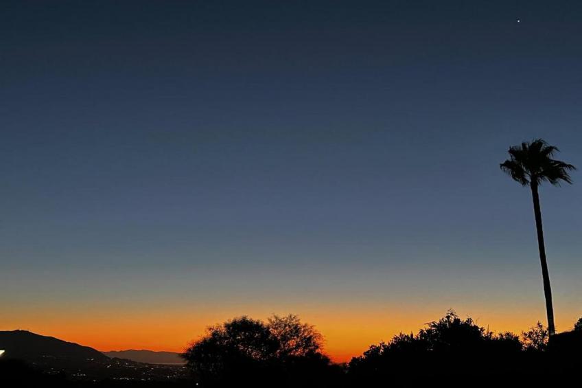 El Bosque de la Mairena - foto 34