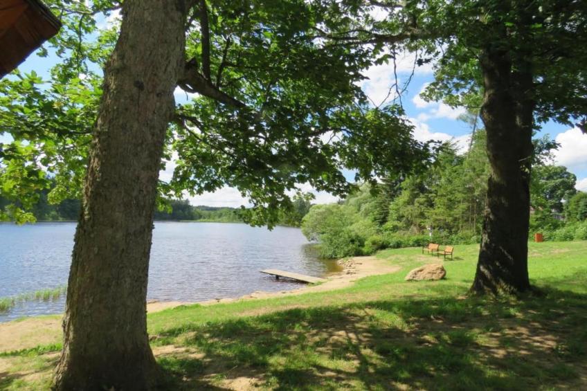 Dum u Lesa - foto 36