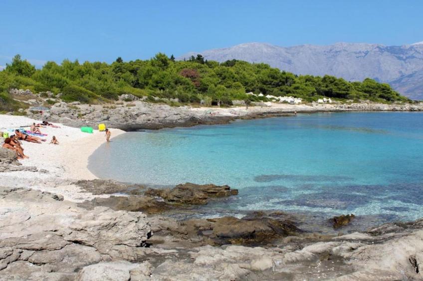 Apartments Agava & Lucija-Studio Apartment(First Floor) - foto 5