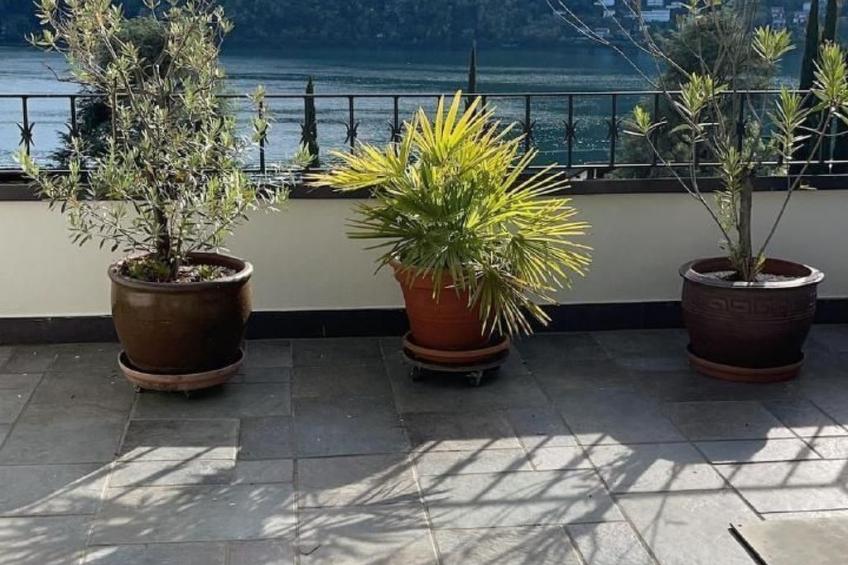 3.5 Zi - Ferienwohnung Miralago Morcote - foto 8