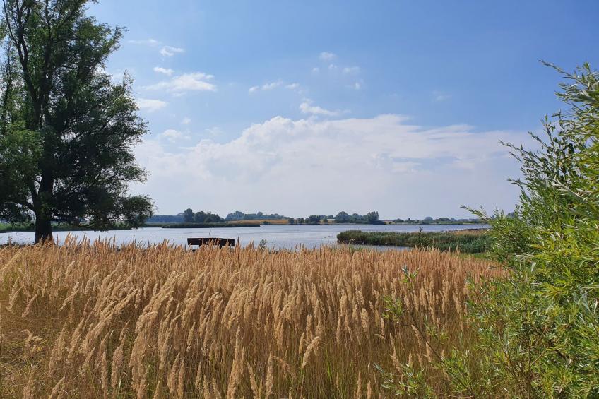 in Mellnitz mit Großem Garten - foto 41
