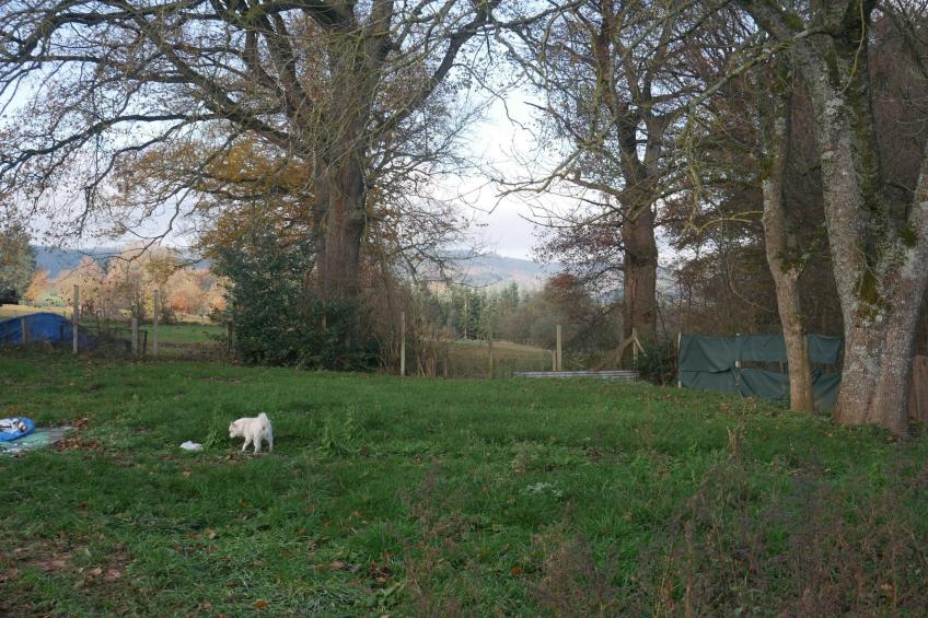 Superbe maison de vacances à Vieslam pour 6 adultes - foto 20