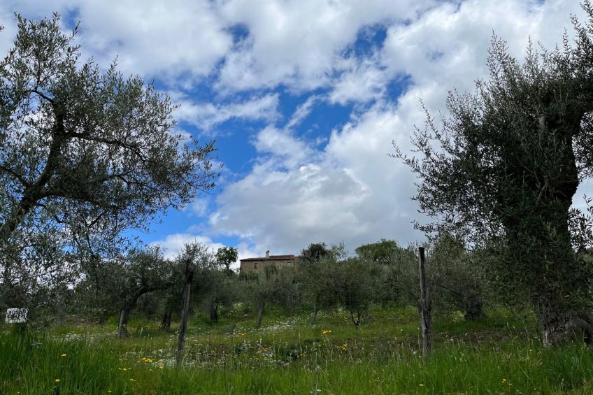 Renovierte Wohnung - foto 34