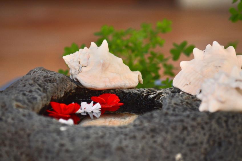 Appartement Casa Hibisco mit schönem Garten - foto 29