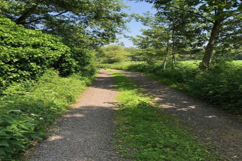 Sylvies lodge - foto 32