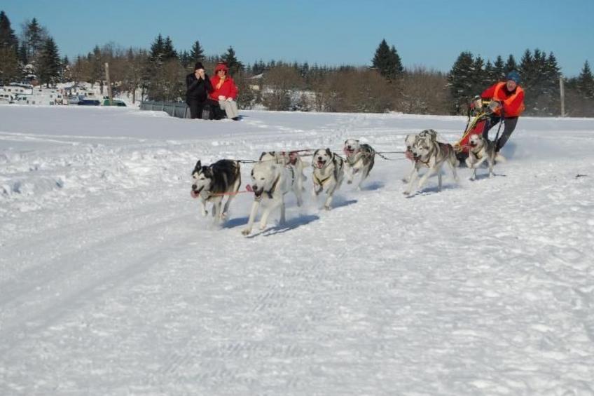 Thüringer Landhaus - foto 13