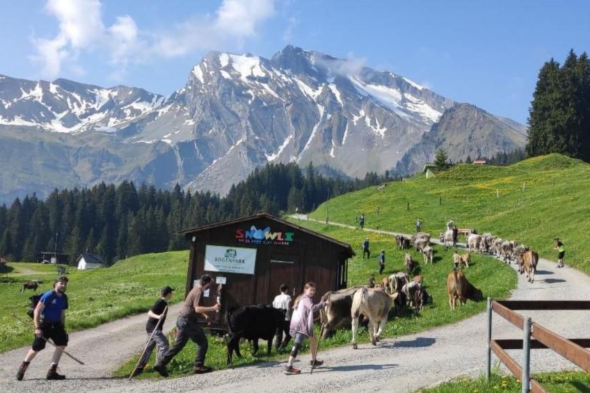 Chalet Hörler - foto 17