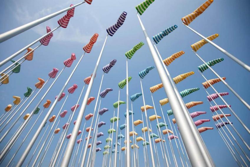 Lilyta B403 4A - foto 28