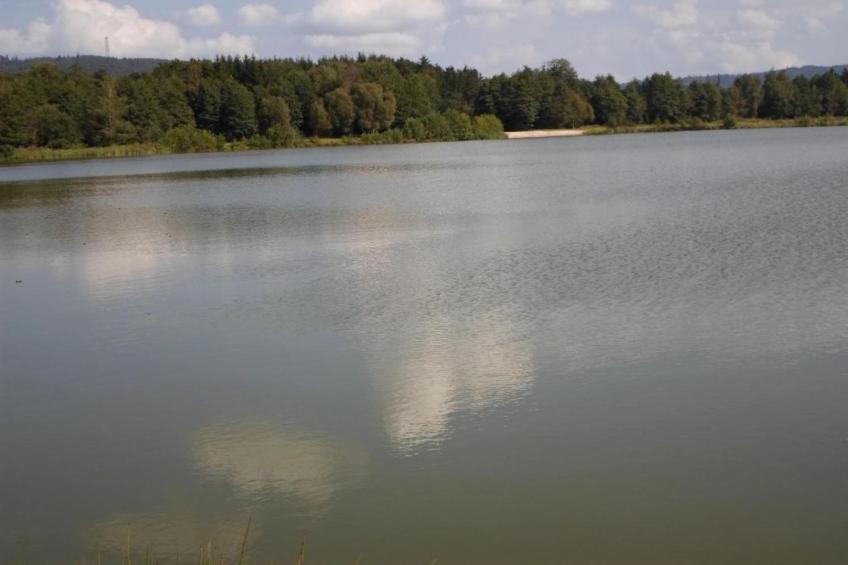 Domaine Des Messires 2 - foto 19