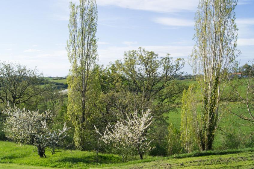 Luxuriöses Landhaus mit Pool - foto 15