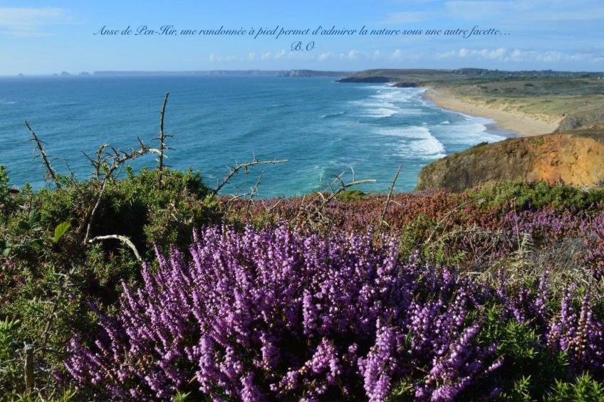 Ferienhaus - foto 36