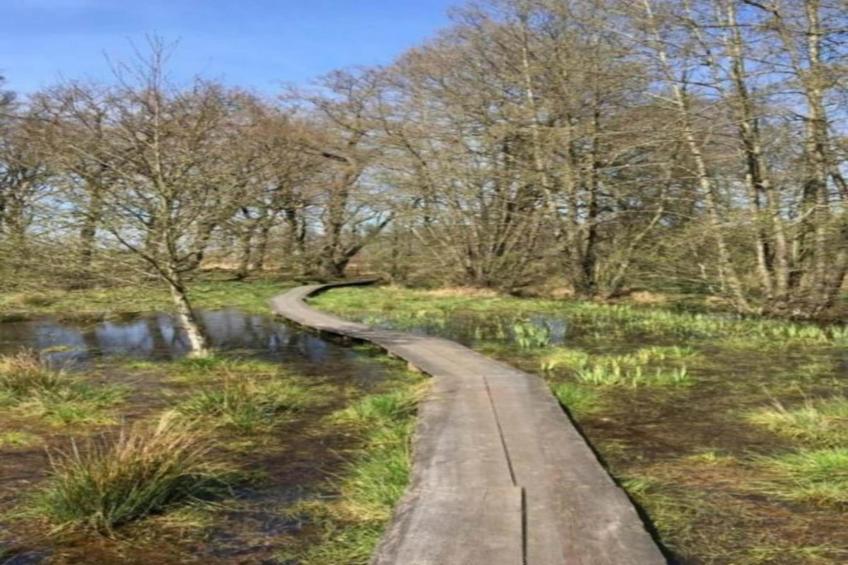 Bospark Lunsbergen - foto 32