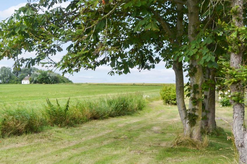 "Juuso" - 20km from the sea in Western Jutland - foto 31