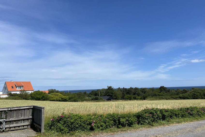 "Folki" - 300m from the sea - foto 8