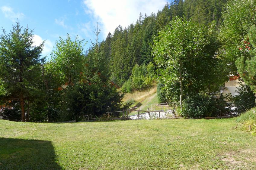 Le Torrent - foto 2