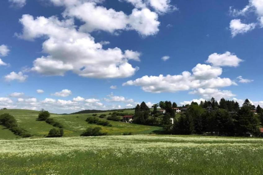 Ferienwohnung Apelt - foto 28