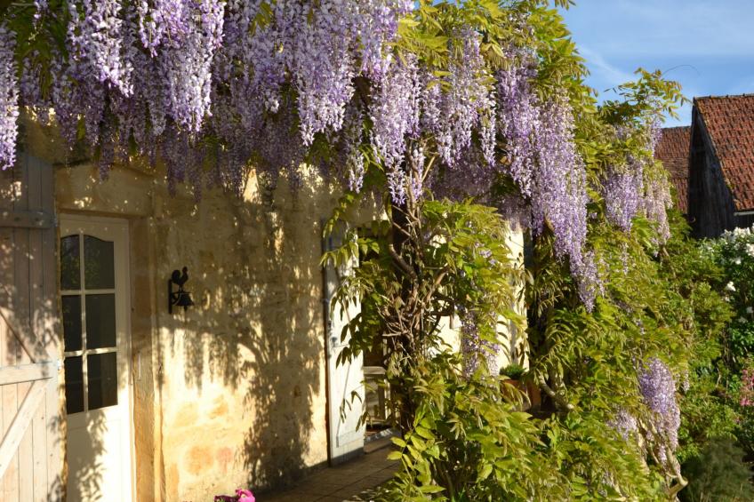 Ehemaliger Bauernhof Le Bonheur in Sainte-Mondane - foto 42