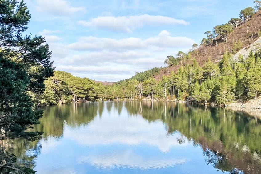 Osprey House - foto 38