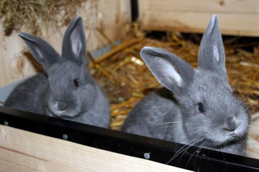 am See Skagern - foto 13