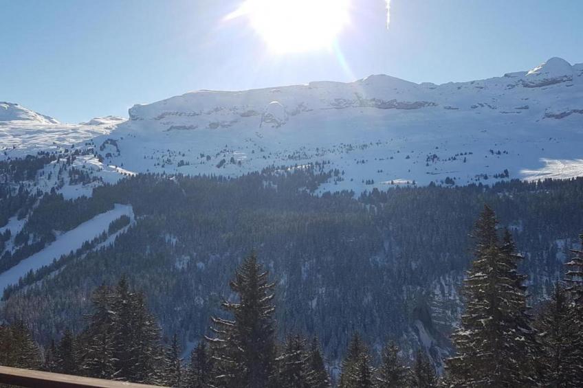 Les Portes du Grand Massif 2 - foto 35