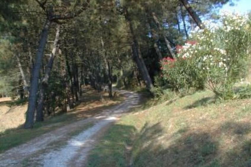 Casa vacanza Mimosa - foto 8