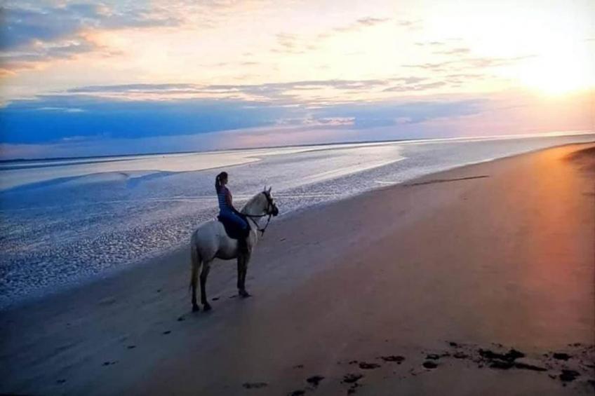 Le Domaine du Mont - foto 26