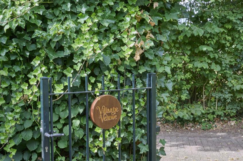 Villaatje Veluwe - foto 40