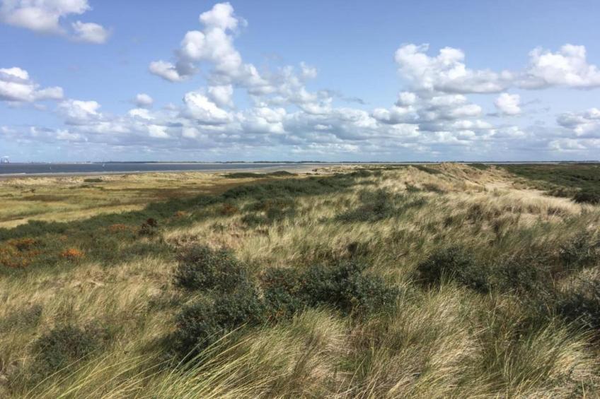 Chalet Sea Rocks - foto 38