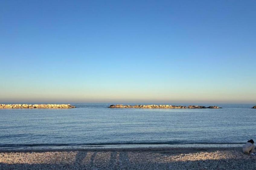 Vanessa Coccinella - foto 28