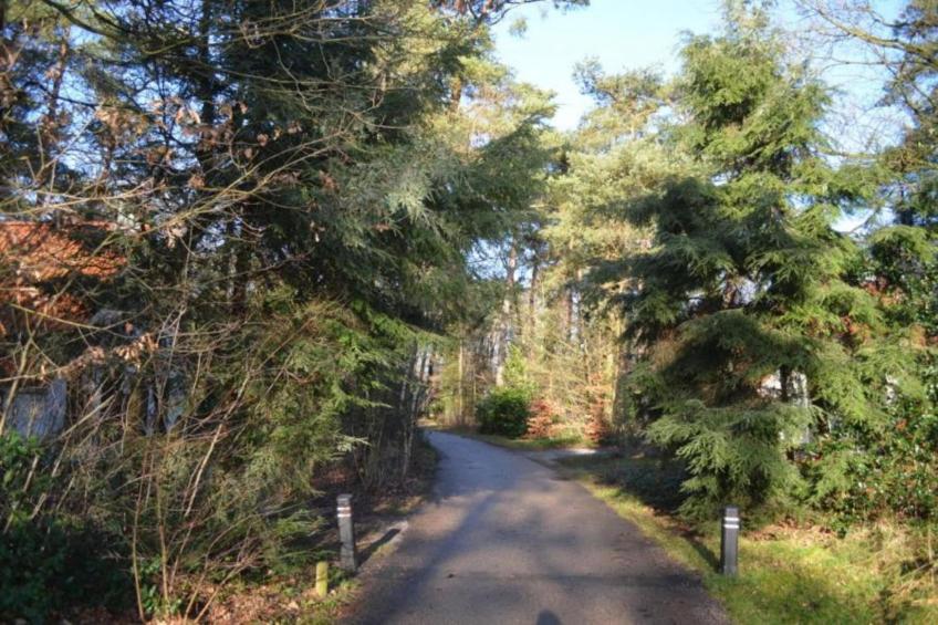 Vakantiepark de Vossenburcht - foto 30