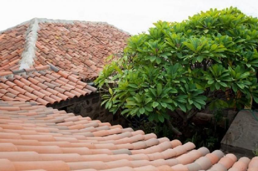 Haus mit Schwimmbad-Whirlpool in ruhiger Umgebung. - foto 18