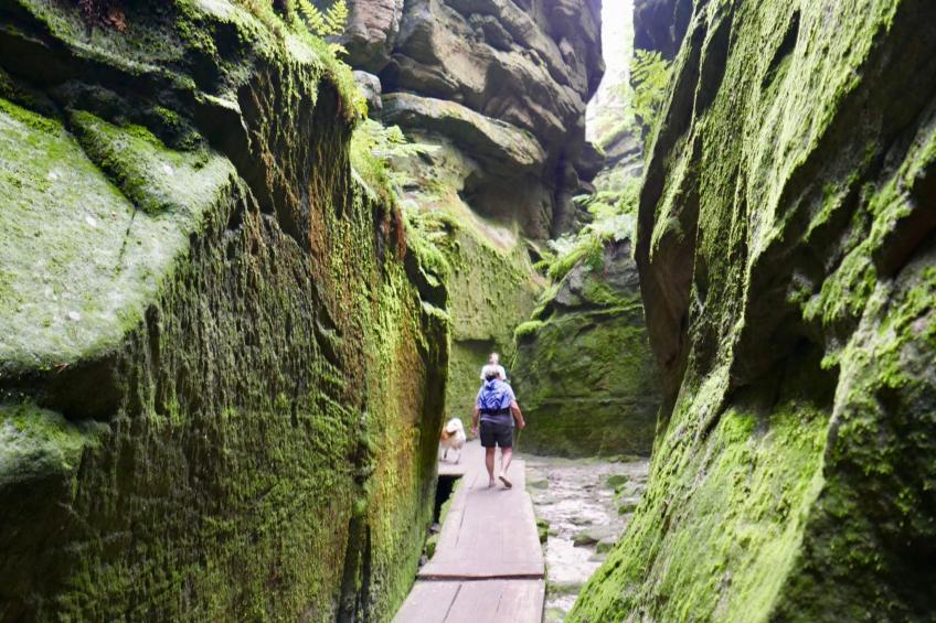 mit Terrasse - foto 51