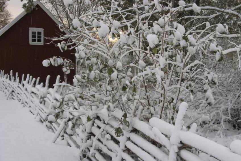 Idyllisches Bauernhaus in Småland - foto 26